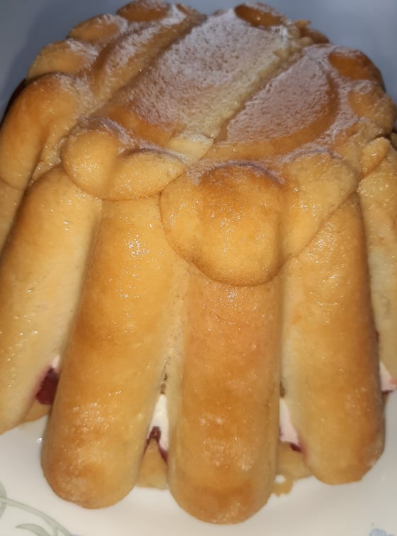 Charlotte aux fraises (boudoirs)